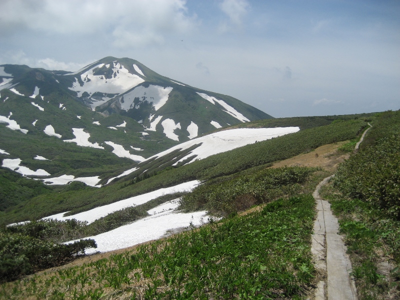 花の百名山秋田駒ヶ岳トレッキング　【仙北市】